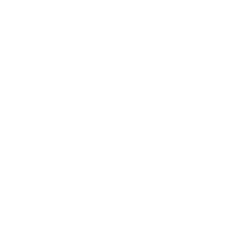 The Social Boutique